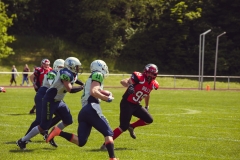 srp_schwalmstadt-warriors-20170521_100