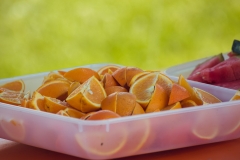 srp_schwalmstadt-warriors-20170521_106