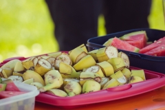 srp_schwalmstadt-warriors-20170521_107