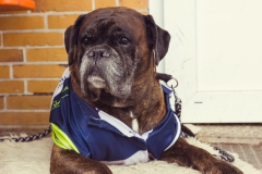 srp_schwalmstadt-warriors-20170521_175