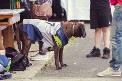 srp_schwalmstadt-warriors-20170521_179