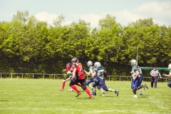 srp_schwalmstadt-warriors-20170521_189