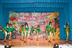 srp_weiberfastnacht-zgh-bp-20140227_273