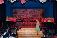 srp_weiberfastnacht-zgh-bp-20140227_486