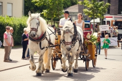 srp_salatkirmes-zig-2017-festzug_030