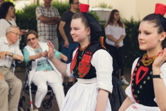 srp_salatkirmes-zig-2017-festzug_064