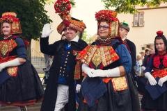 srp_salatkirmes-zig-2017-festzug_099