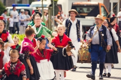 srp_salatkirmes-zig-2017-festzug_112