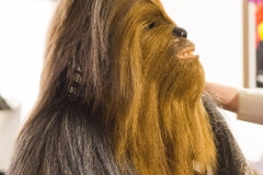 srp_starwars8-premiere-baunatal-013