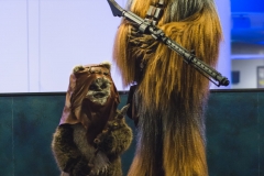 srp_starwars8-premiere-baunatal-024