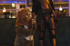 srp_starwars8-premiere-baunatal-027