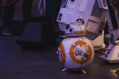 srp_starwars8-premiere-baunatal-041