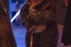 srp_starwars8-premiere-baunatal-044