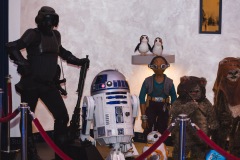 srp_starwars8-premiere-baunatal-188