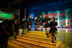 srp_weiberfastnacht-zig-2018-288