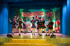 srp_weiberfastnacht-zig-2018-289