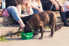 srp_sw-seasonopening-2018_160