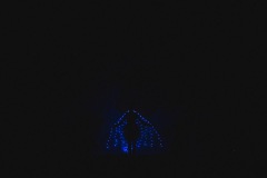 srp_wbf-zig-2020_283