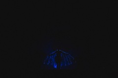 srp_wbf-zig-2020_284