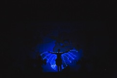 srp_wbf-zig-2020_288