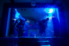 srp_wbf-fcv-2024_1050