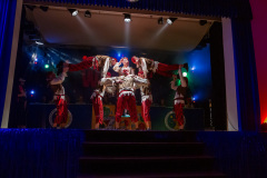 srp_wbf-fcv-2024_484