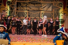 srp_weiberfastnacht-ziegenhain-2017_092