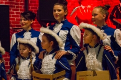 srp_weiberfastnacht-ziegenhain-2017_108