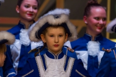 srp_weiberfastnacht-ziegenhain-2017_135