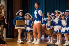 srp_weiberfastnacht-ziegenhain-2017_144