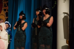 srp_weiberfastnacht-ziegenhain-2017_147