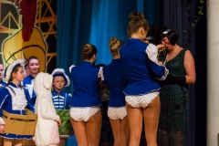 srp_weiberfastnacht-ziegenhain-2017_151