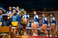 srp_weiberfastnacht-ziegenhain-2017_167