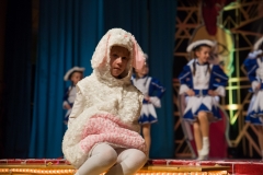 srp_weiberfastnacht-ziegenhain-2017_171