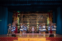 srp_weiberfastnacht-ziegenhain-2017_186