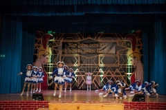 srp_weiberfastnacht-ziegenhain-2017_187