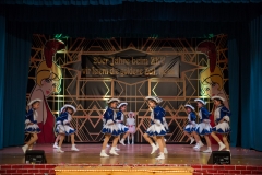 srp_weiberfastnacht-ziegenhain-2017_189