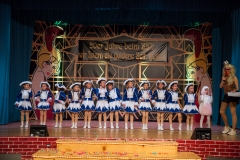 srp_weiberfastnacht-ziegenhain-2017_198