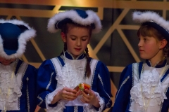 srp_weiberfastnacht-ziegenhain-2017_208