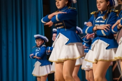 srp_weiberfastnacht-ziegenhain-2017_258