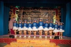 srp_weiberfastnacht-ziegenhain-2017_266