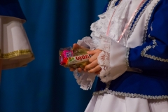 srp_weiberfastnacht-ziegenhain-2017_290