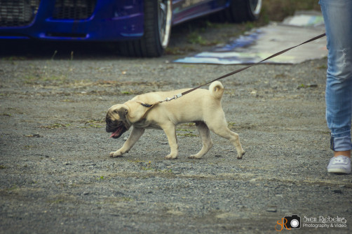 srp_1st-Carmeeting-Schwalm-Eder_032