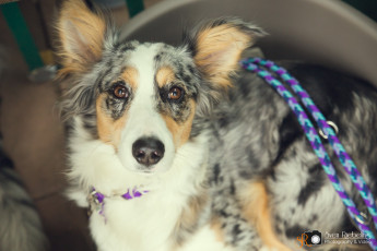 srp_kunsthandwerkermarkt-blumen-dalchow-2016_060-Web