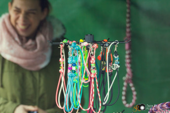 srp_kunsthandwerkermarkt-blumen-dalchow-2016_077-Web