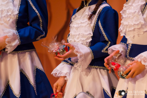 srp_weiberfastnacht-ziegenhain-2016_0157