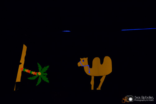 srp_weiberfastnacht-ziegenhain-2016_0988