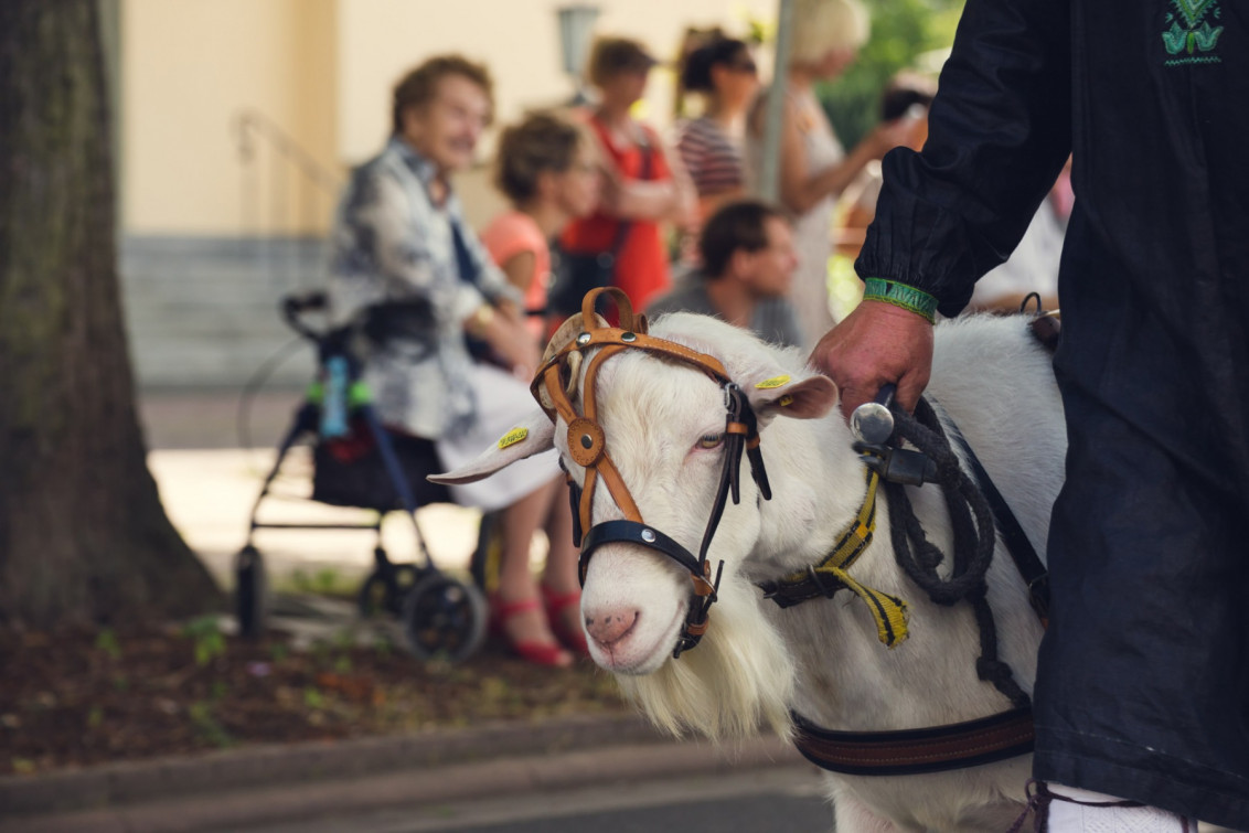 srp_salatkirmes-zig-2017-festzug_047