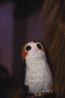 srp_starwars8-premiere-baunatal-191