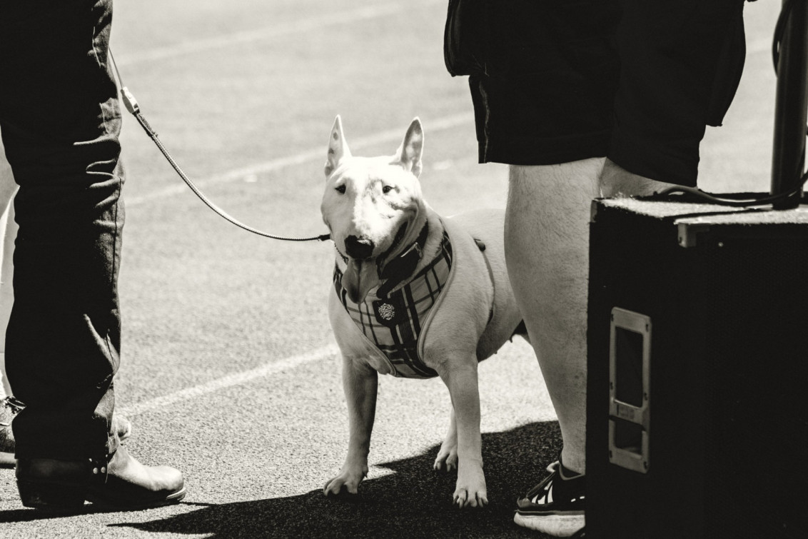 srp_schwalmstadtwarriors-2018_006